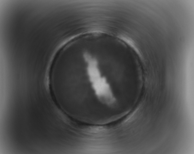 X0000088891024200706151826