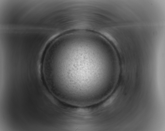 X0000088891029200706151826