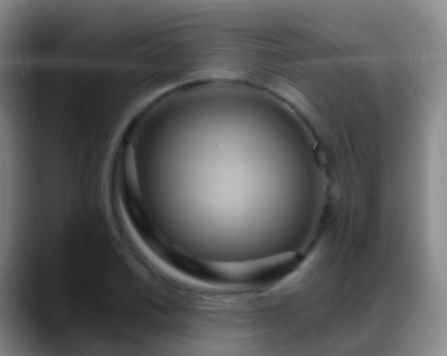 X0000088891030200706151826