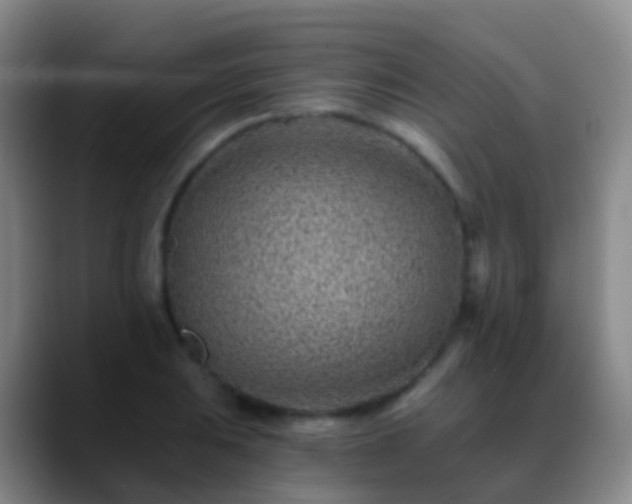 X0000088891031200706151826