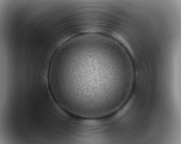 X0000088891033200706151826