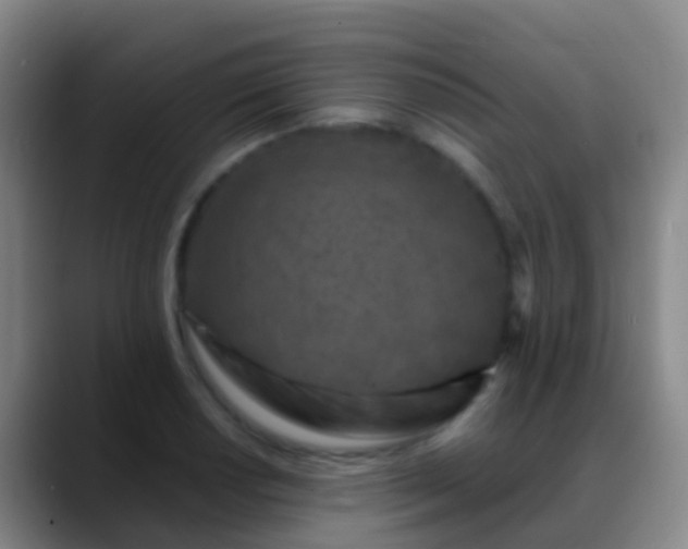 X0000088891034200706151826