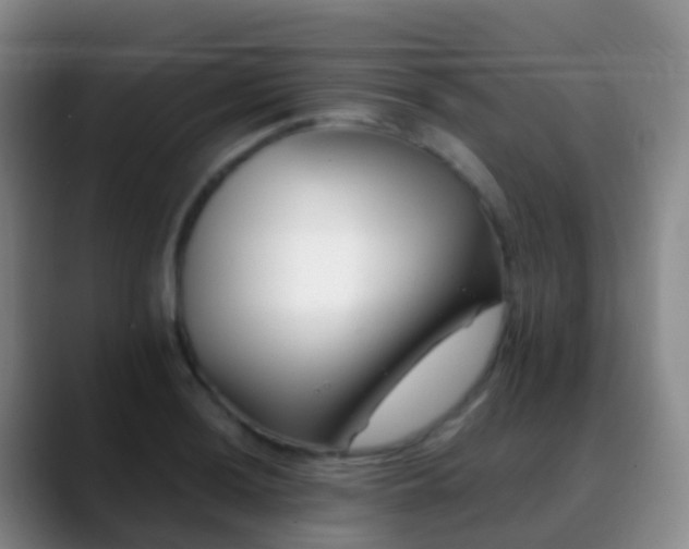 X0000088891036200706151826