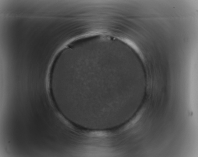 X0000088891037200706151826