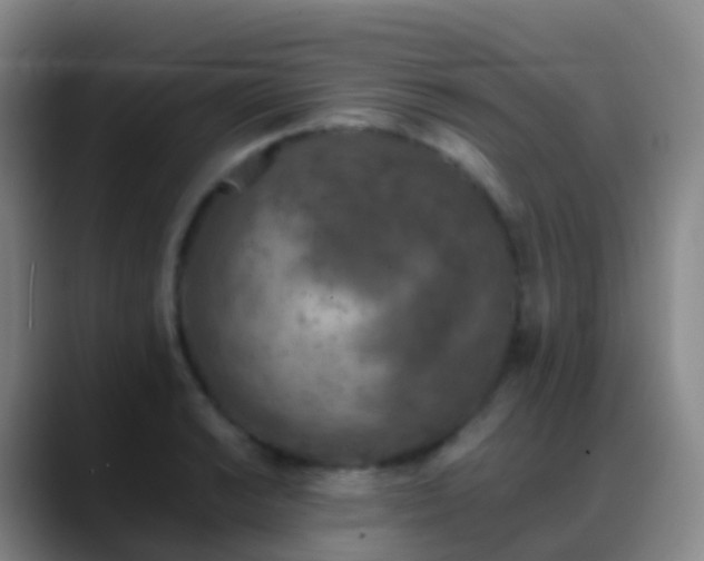 X0000088891038200706151826