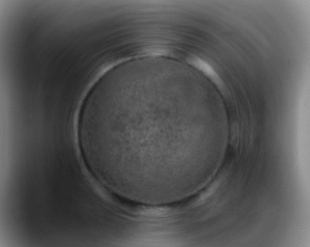 X0000088891039200706151826