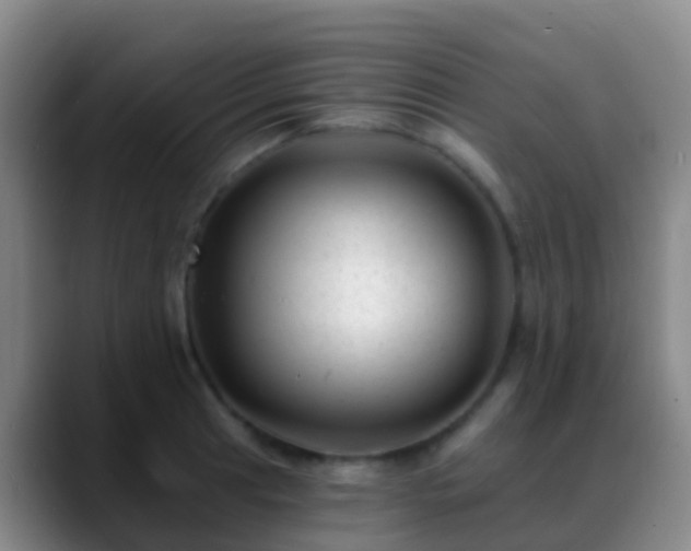 X0000088891041200706151826