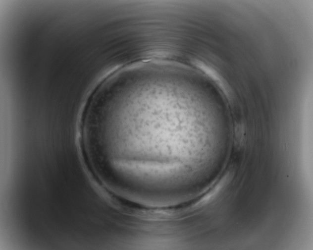 X0000088891042200706151826