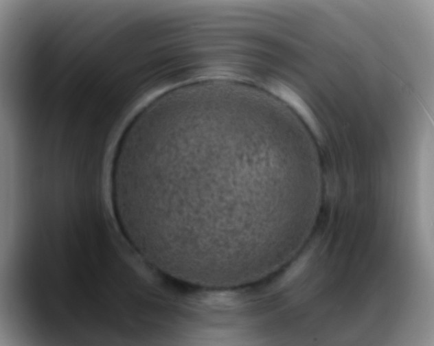 X0000088891043200706151826