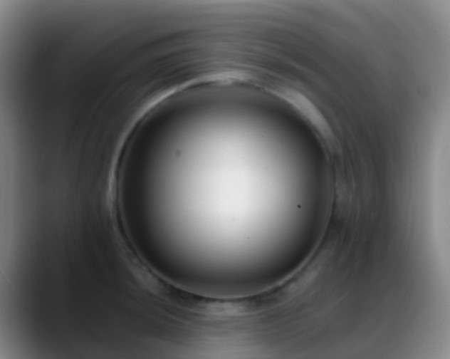 X0000088891044200706151826