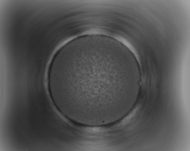 X0000088891045200706151826