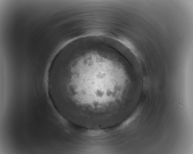 X0000088891046200706151826