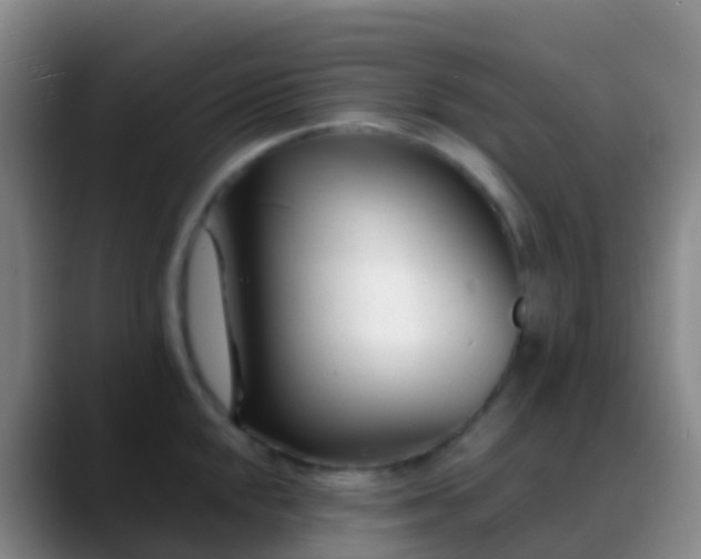 X0000088891048200706151826