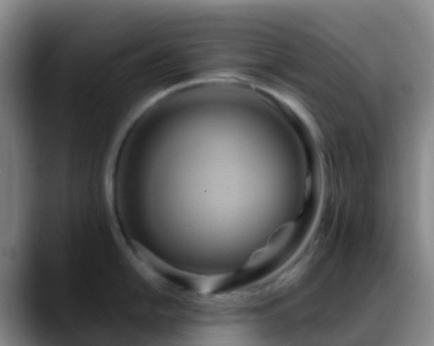 X0000088891054200706151826