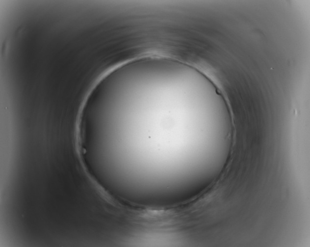 X0000088891056200706151826