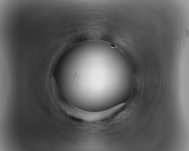 X0000088891057200706151825