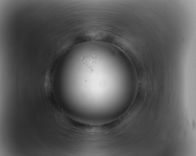 X0000088891058200706151825