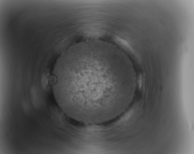 X0000088891059200706151825