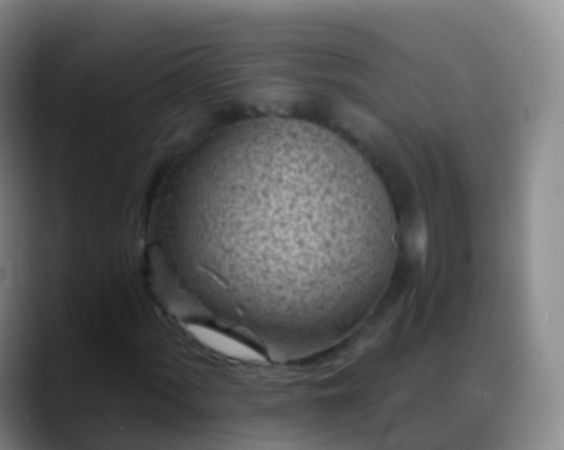 X0000088891060200706151825