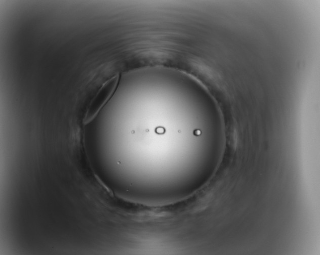 X0000088891061200706151825