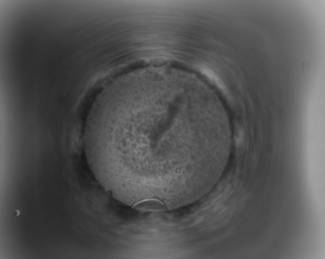 X0000088891063200706151825