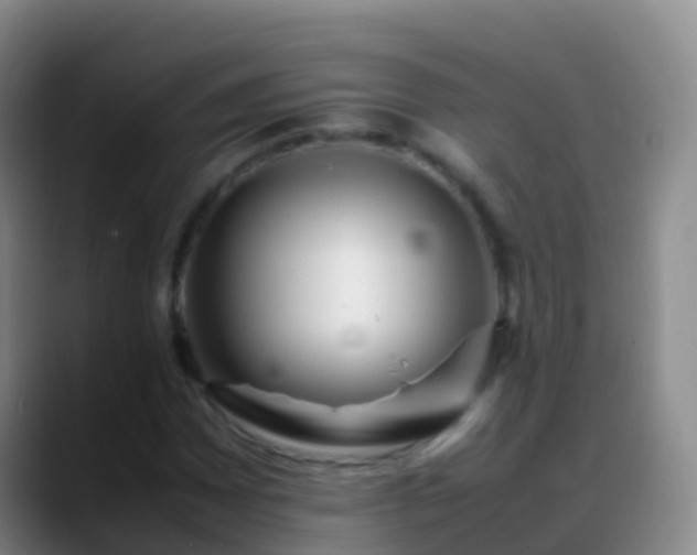 X0000088891065200706151825