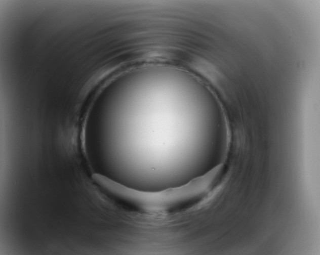 X0000088891066200706151825