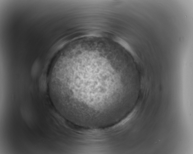 X0000088891067200706151825