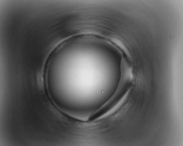 X0000088891068200706151825