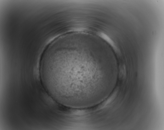 X0000088891071200706151825