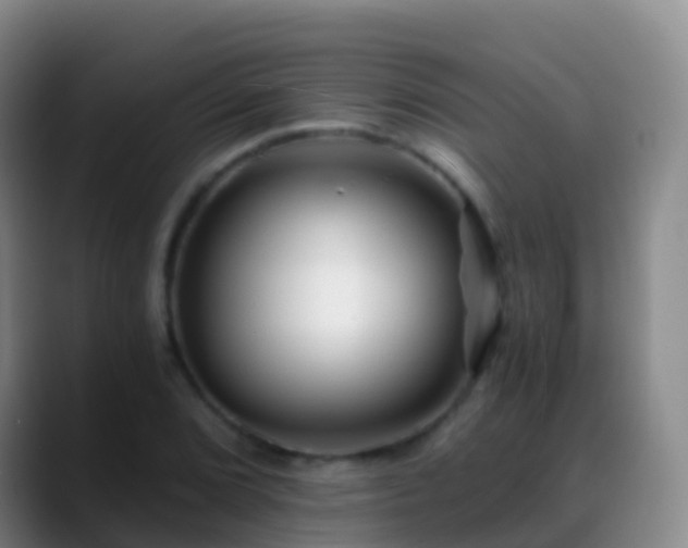 X0000088891072200706151825