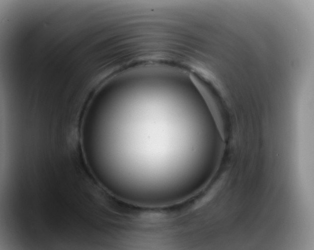 X0000088891073200706151825