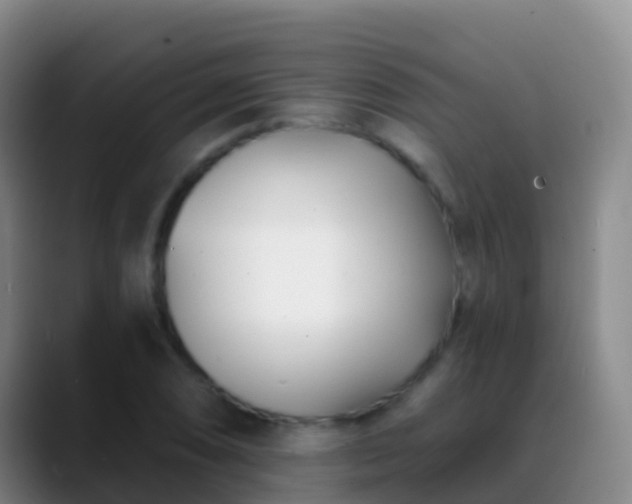 X0000088891074200706151825