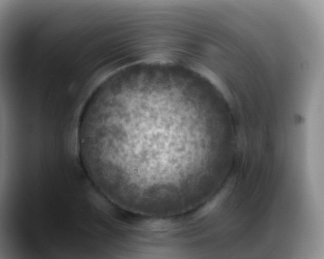 X0000088891075200706151825