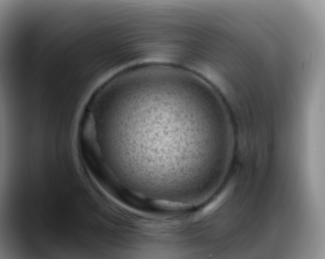 X0000088891077200706151825