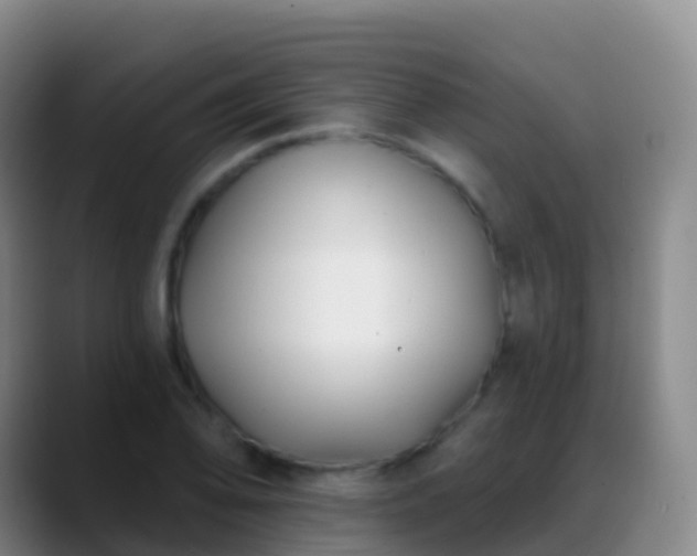 X0000088891078200706151825