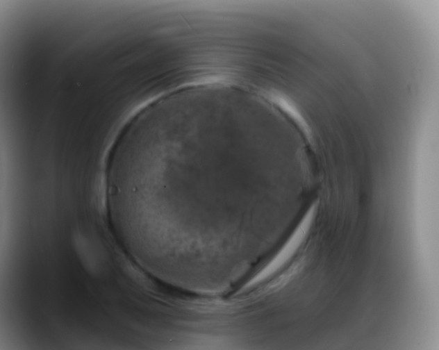 X0000088891079200706151825