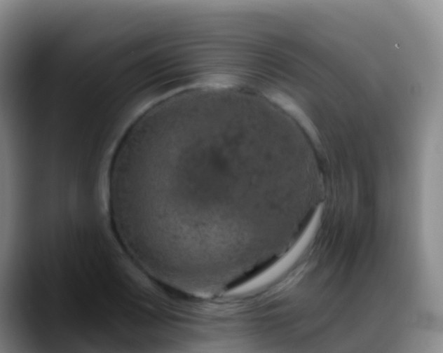 X0000088891083200706151825