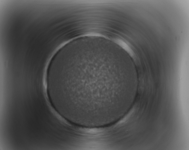 X0000088891084200706151825