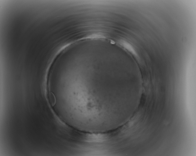 X0000088891087200706151825