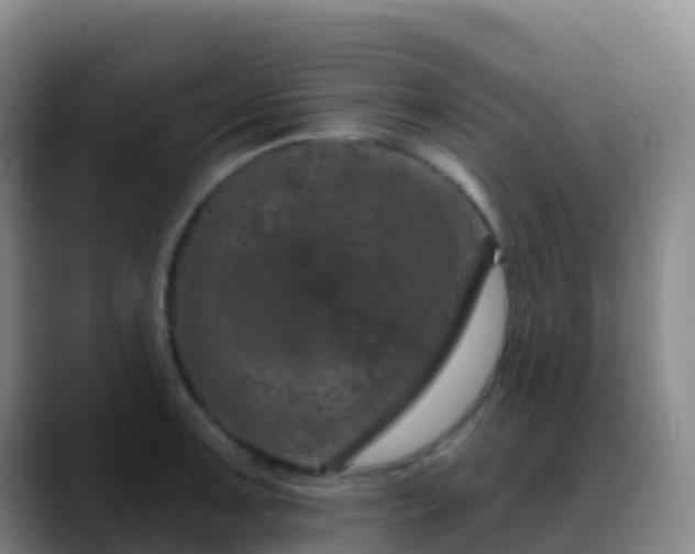 X0000088891091200706151825