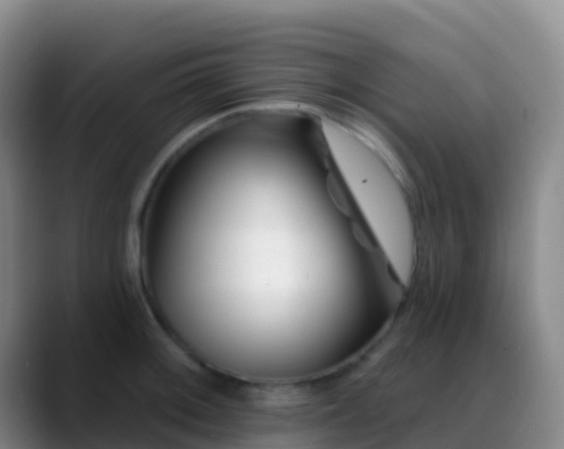 X0000088891092200706151825