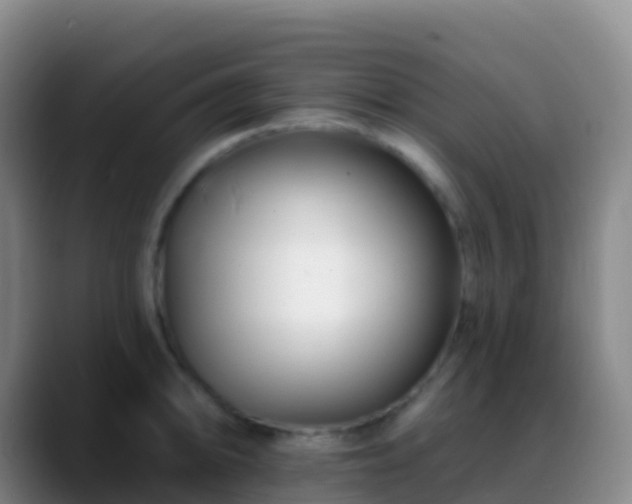 X0000088891094200706151825