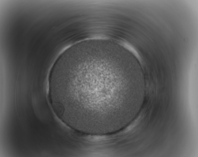 X0000088891095200706151825