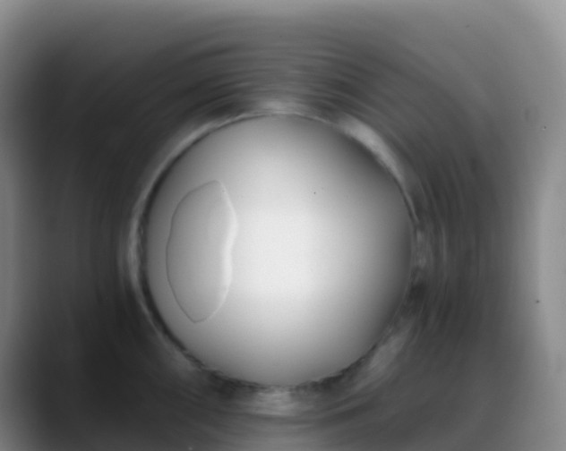 X0000088891098200706151825