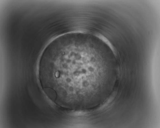 X0000088891099200706151825