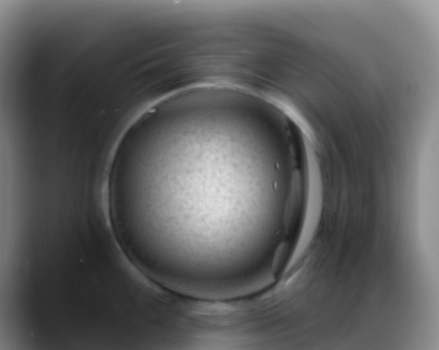 X0000088891100200706151825