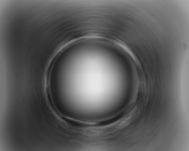 X0000088891101200706151825