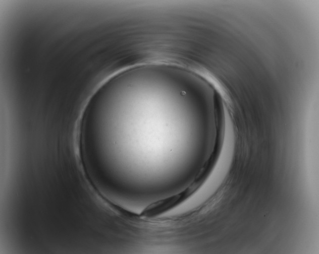 X0000088891102200706151825