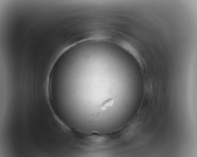 X0000088891103200706151825